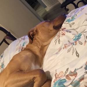 Meet your Posher, Alayna